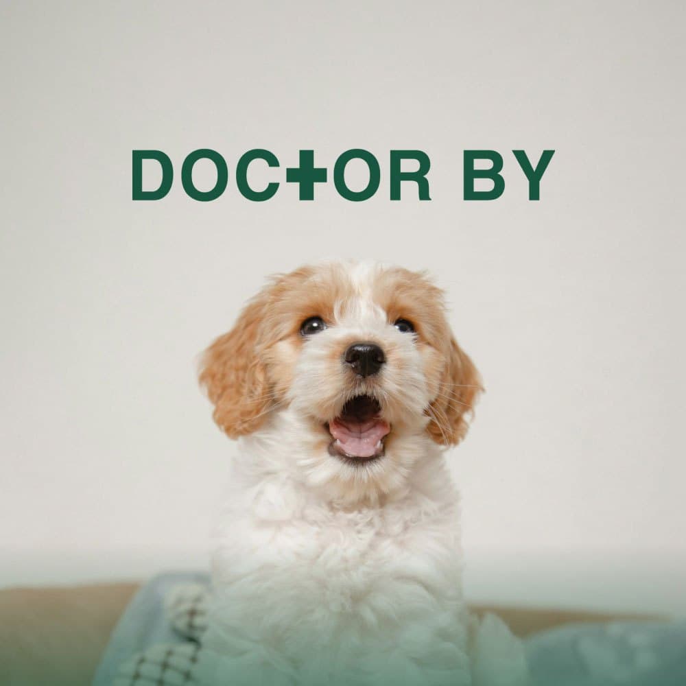 선별 케이스 50 이미지