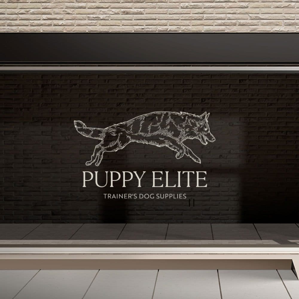 선별 케이스 56 이미지